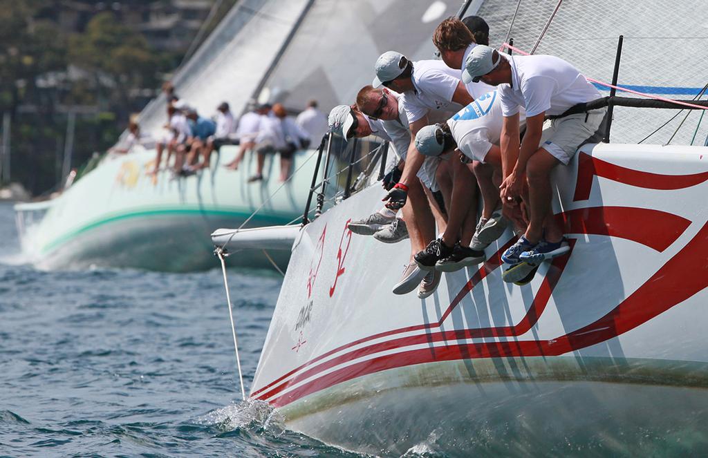 Cougar II & Frantic © Crosbie Lorimer http://www.crosbielorimer.com